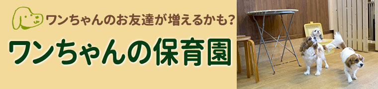 ワンちゃんの保育園