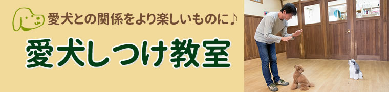 愛犬しつけ教室